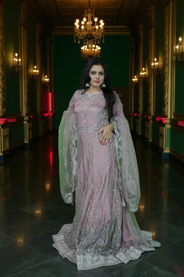 Stitched Embroidered Net Maxi