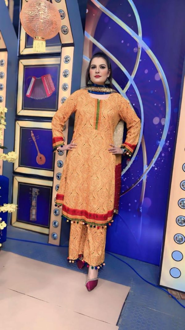 2-Piece Stitched Mustard Printed Lawn Suit