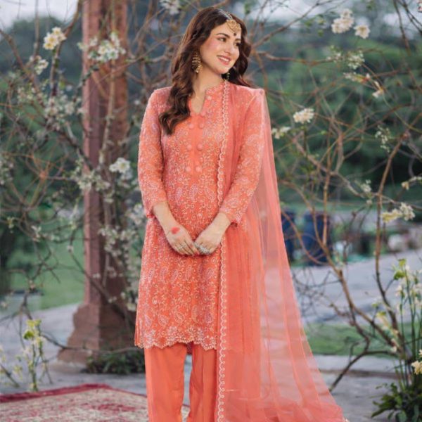 Stitched Rust Embroidered Net 3-Piece Suit | Luxury Festive & Wedding Wear