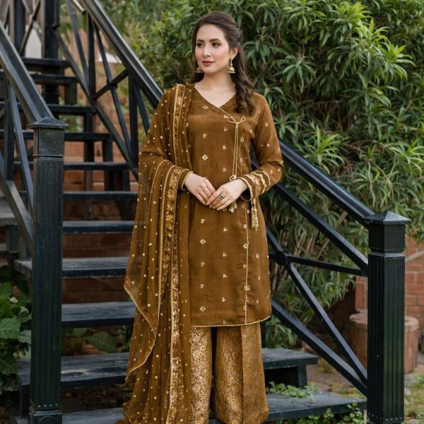 3-Piece Stitched Golden Brown Embroidered Raw Silk Suit