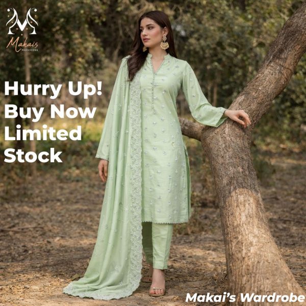 Stitched 3-Piece Embroidered Suit with Silver Detailing